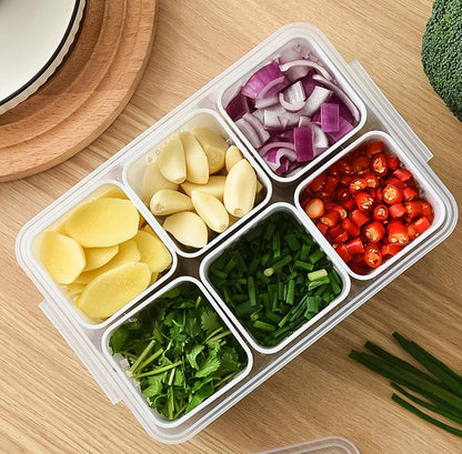 Refrigerator Fresh-Keeping Box - Multi-Grid Storage Organizer